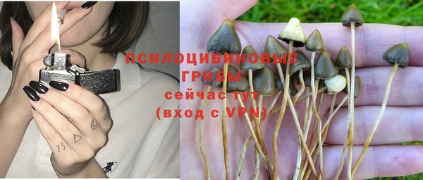 кокс Липки