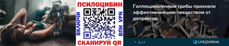 OMG ссылки  Няндома  Галлюциногенные грибы прущие грибы 